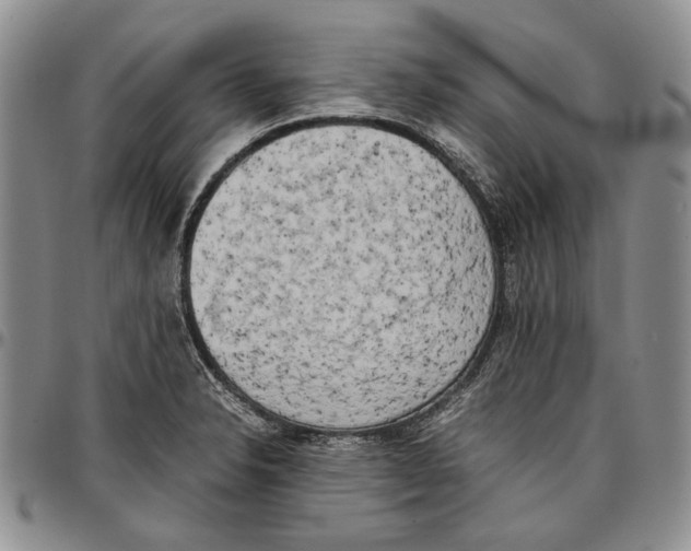 X0000096671326200803041213