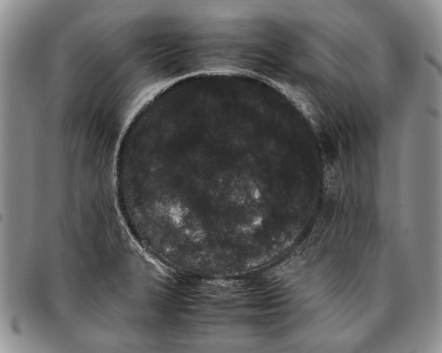 X0000096671327200803041213