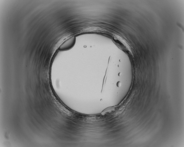 X0000096671330200803041213
