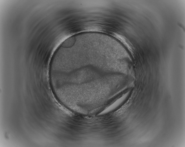 X0000096671331200803041213