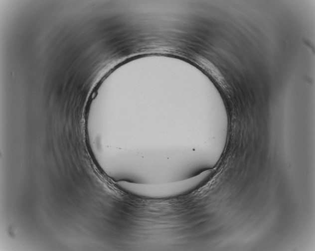X0000096671332200803041213