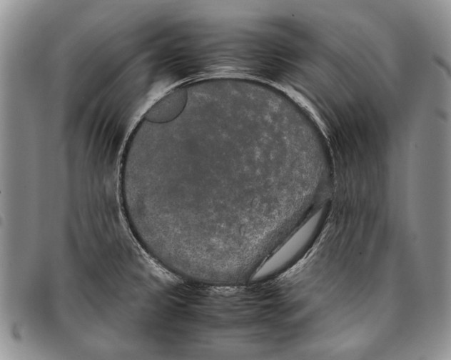 X0000096671333200803041213