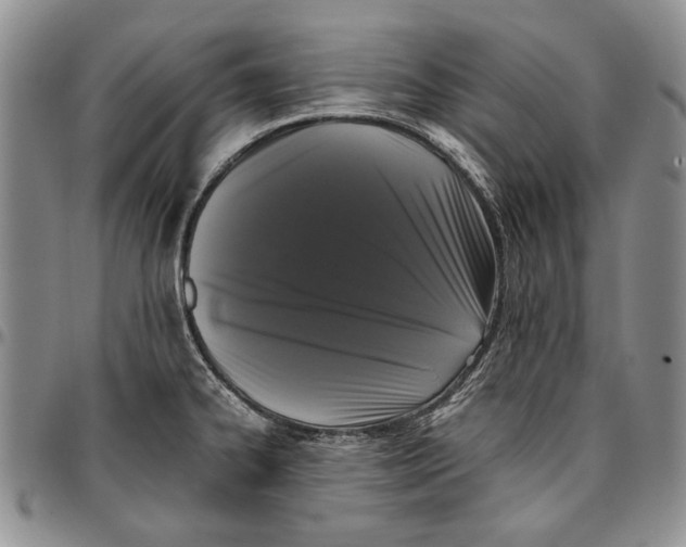 X0000096671334200803041213