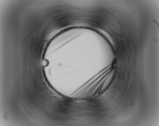 X0000096671335200803041213