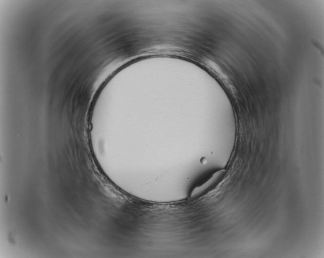 X0000096671336200803041213