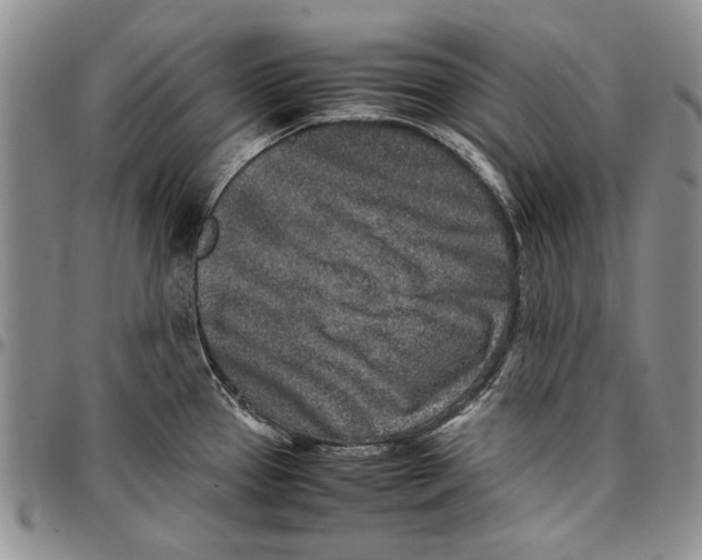 X0000096671337200803041213