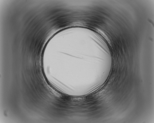 X0000096671339200803041213