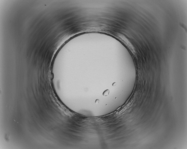 X0000096671340200803041213