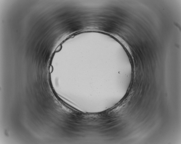 X0000096671341200803041213