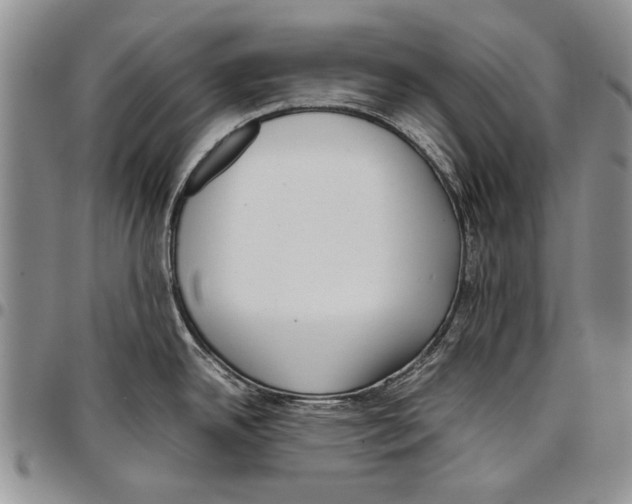 X0000096671342200803041213
