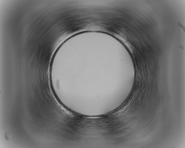 X0000096671343200803041213