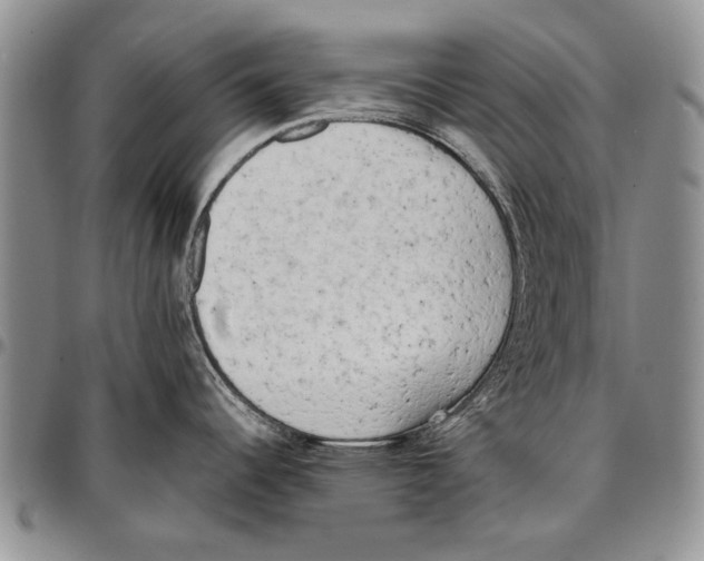 X0000096671344200803041213