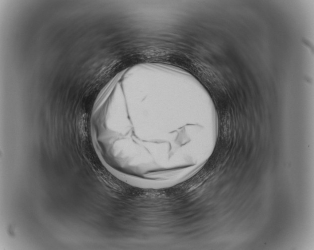 X0000096671346200803041213