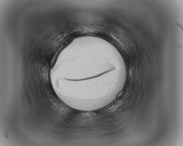 X0000096671348200803041213