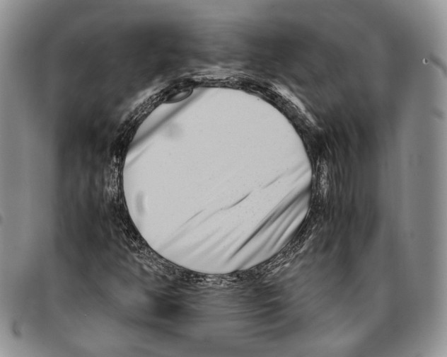 X0000096671350200803041213