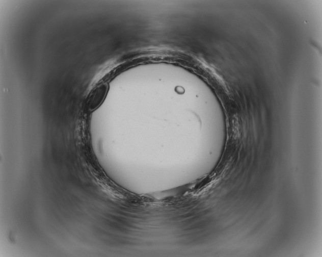 X0000096671352200803041212