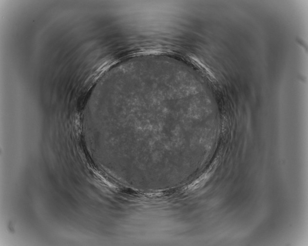 X0000096671353200803041212