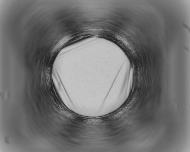 X0000096671354200803041212