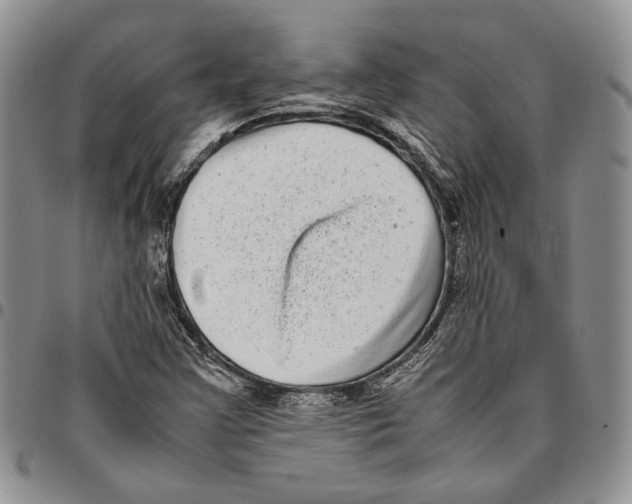 X0000096671355200803041212