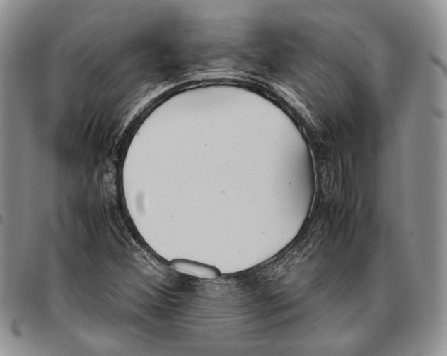 X0000096671356200803041212