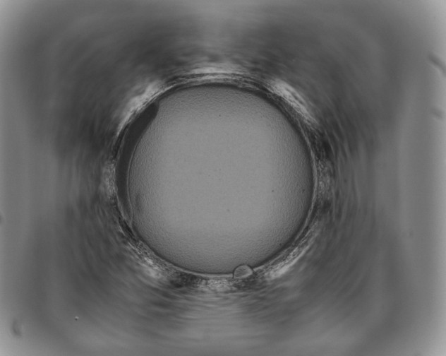 X0000096671357200803041212