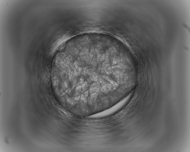 X0000096671359200803041212