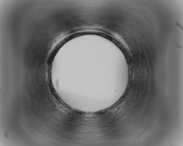 X0000096671360200803041212