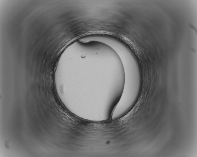 X0000096671361200803041212