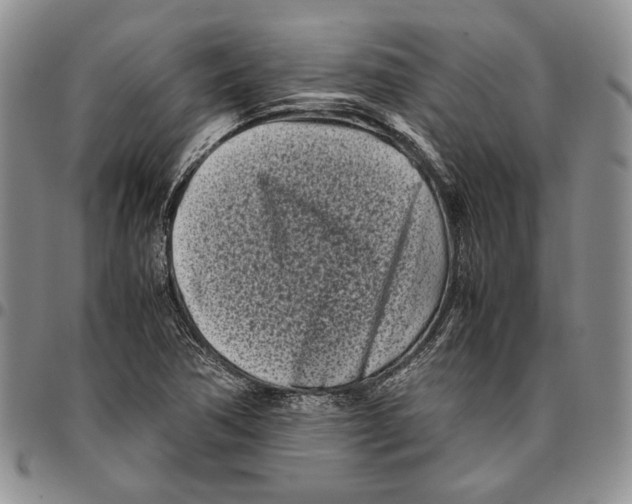 X0000096671362200803041212