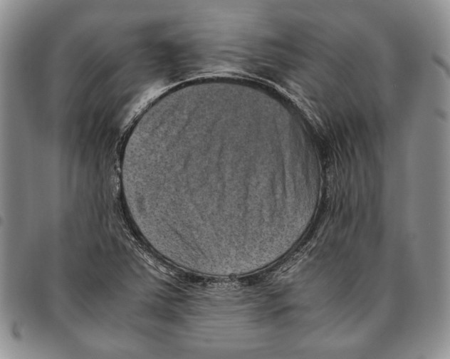 X0000096671363200803041212