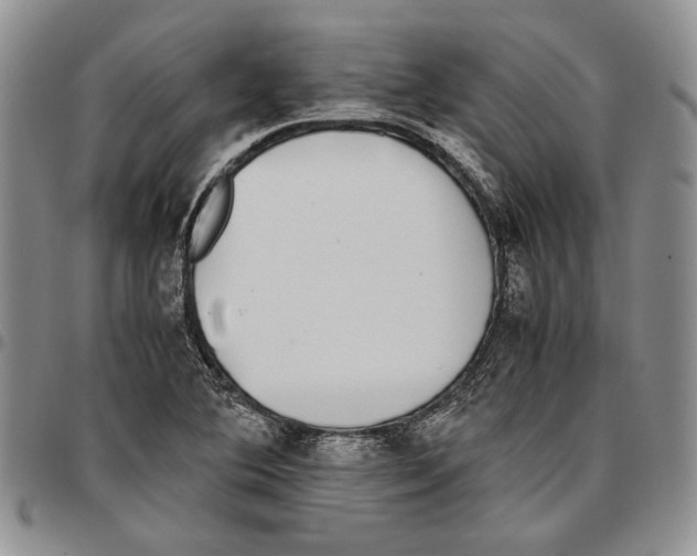 X0000096671364200803041212