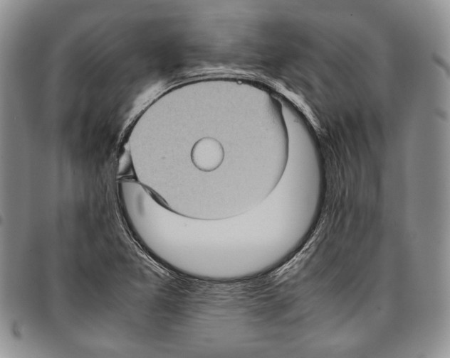 X0000096671365200803041212
