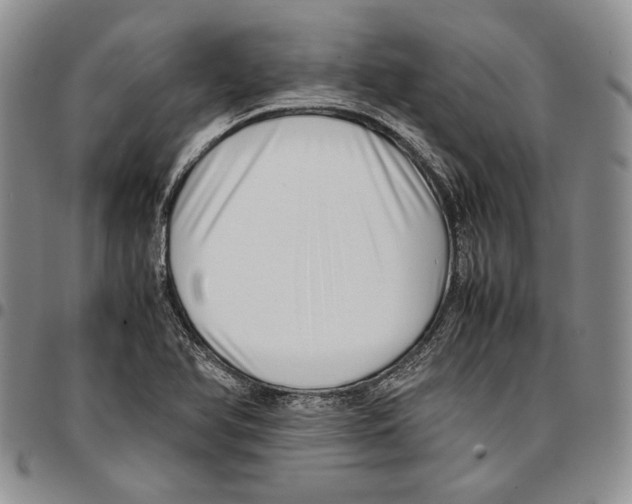 X0000096671366200803041212