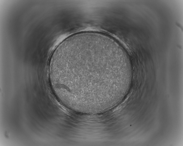 X0000096671367200803041212
