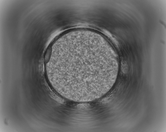 X0000096671368200803041212