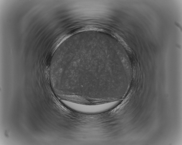 X0000096671369200803041212