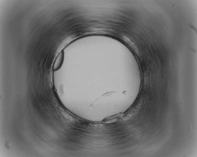 X0000096671370200803041212