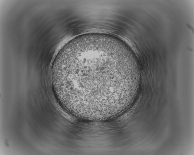 X0000096671371200803041212