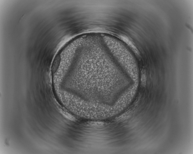X0000096671372200803041212