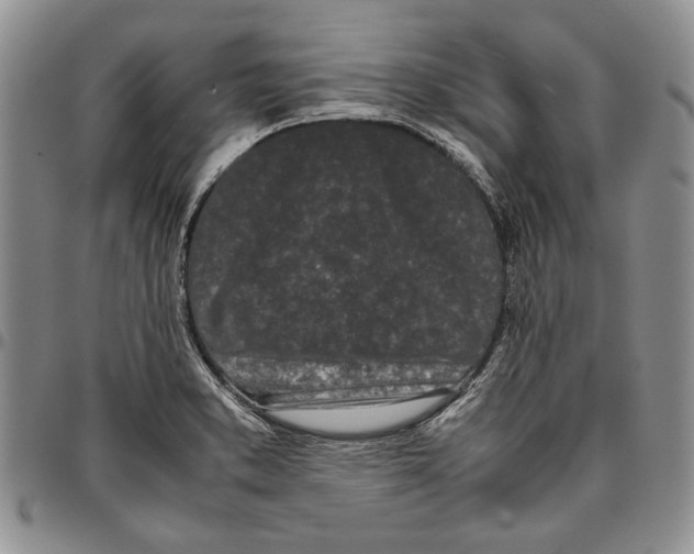 X0000096671373200803041212