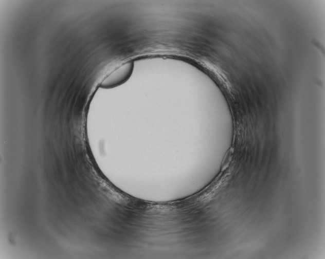 X0000096671374200803041212