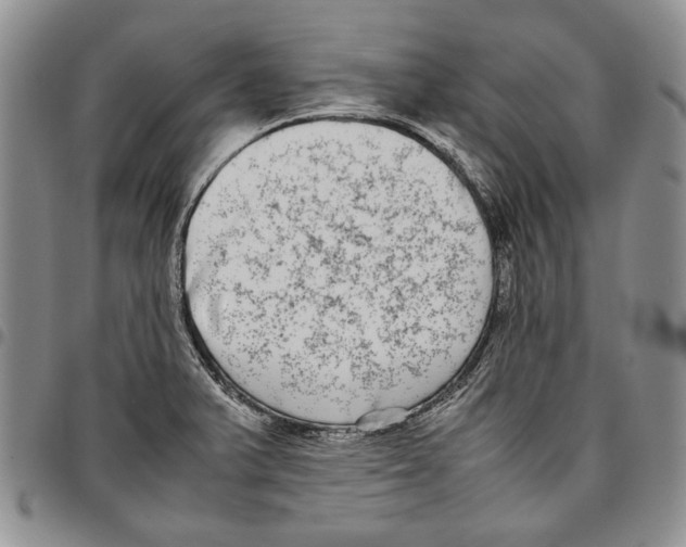 X0000096671375200803041212