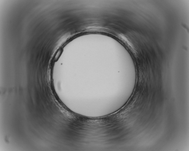 X0000096671376200803041212
