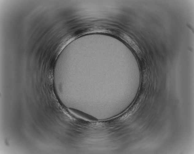 X0000096671377200803041212
