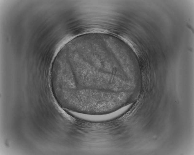 X0000096671379200803041212