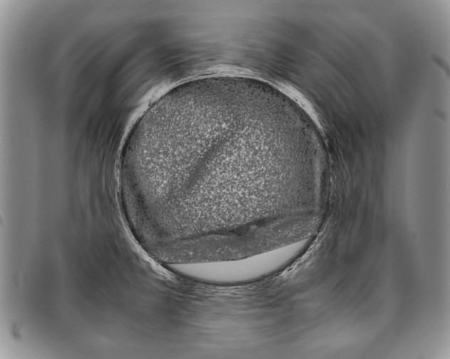 X0000096671381200803041212