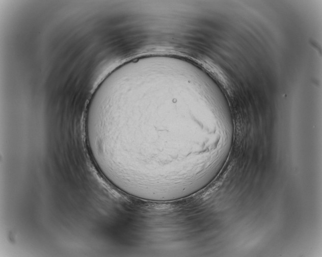 X0000096671382200803041212