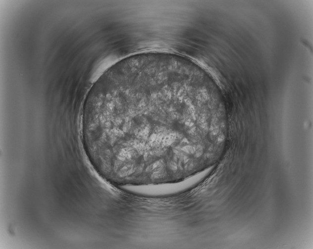 X0000096671383200803041212