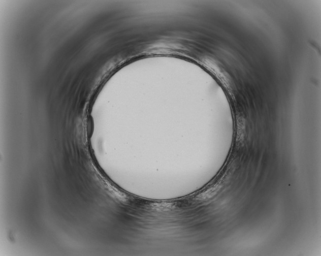 X0000096671384200803041212
