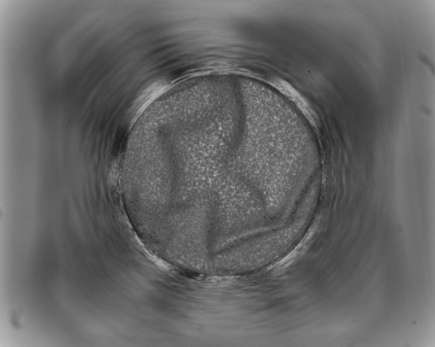 X0000096671385200803041212